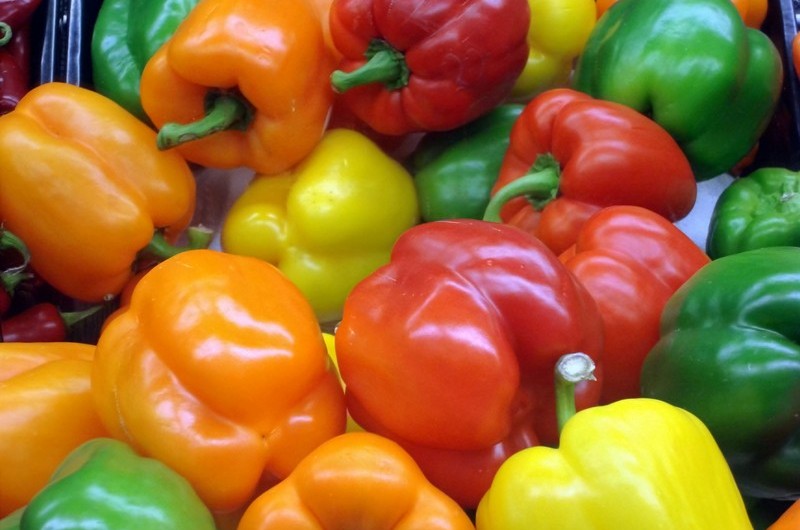 Pimientos de España para exportar. Peppers from Spain to export