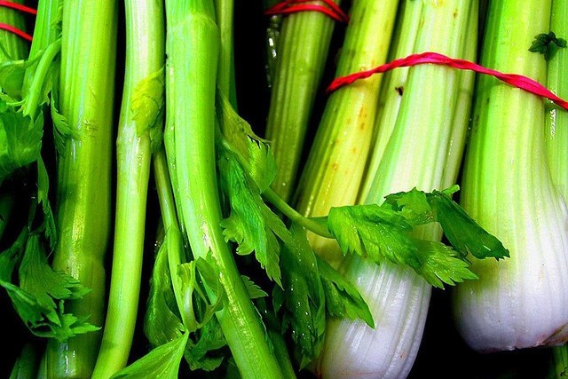 Apio de España para exportar. Celery from Spain to export